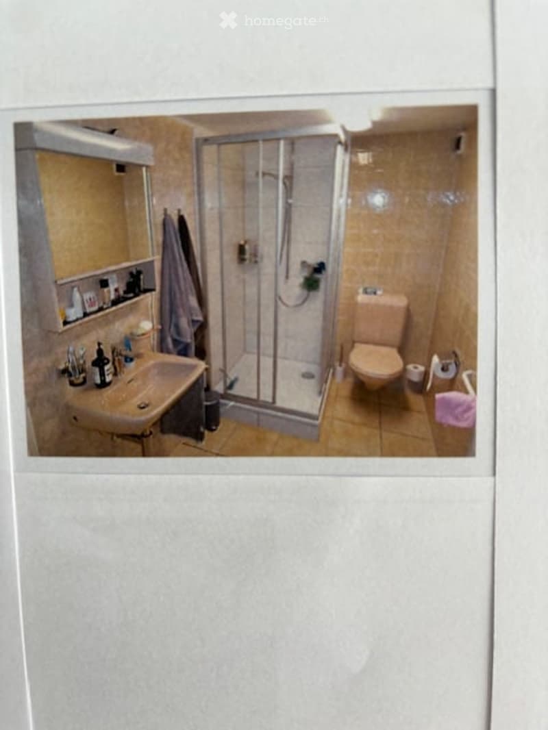 Bathroom with a sink, mirror, toilet, shower, and a towel hanging on the wall.