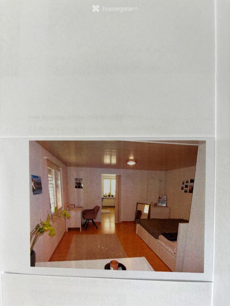 A furnished room with wooden flooring, a chair, a small table, a mirror, and a plant. The room has large windows and a door leading to another space.