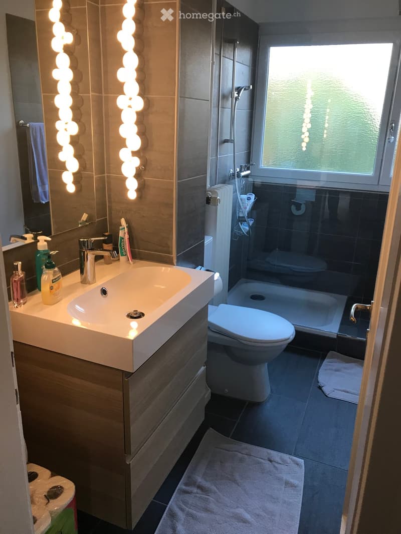 Modern bathroom with a white sink, chrome faucet, toilet, shower, and large mirror with decorative lighting. Includes towels, soap dispensers, and toiletries on the sink counter.
