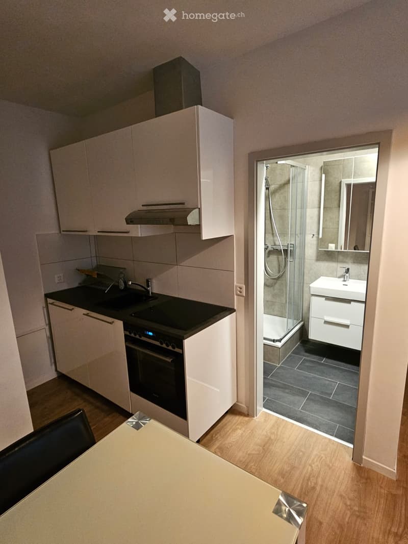 Modern kitchen with white cabinets, black countertop, built-in oven, and a small bathroom with a glass shower enclosure, sink, and mirror.
