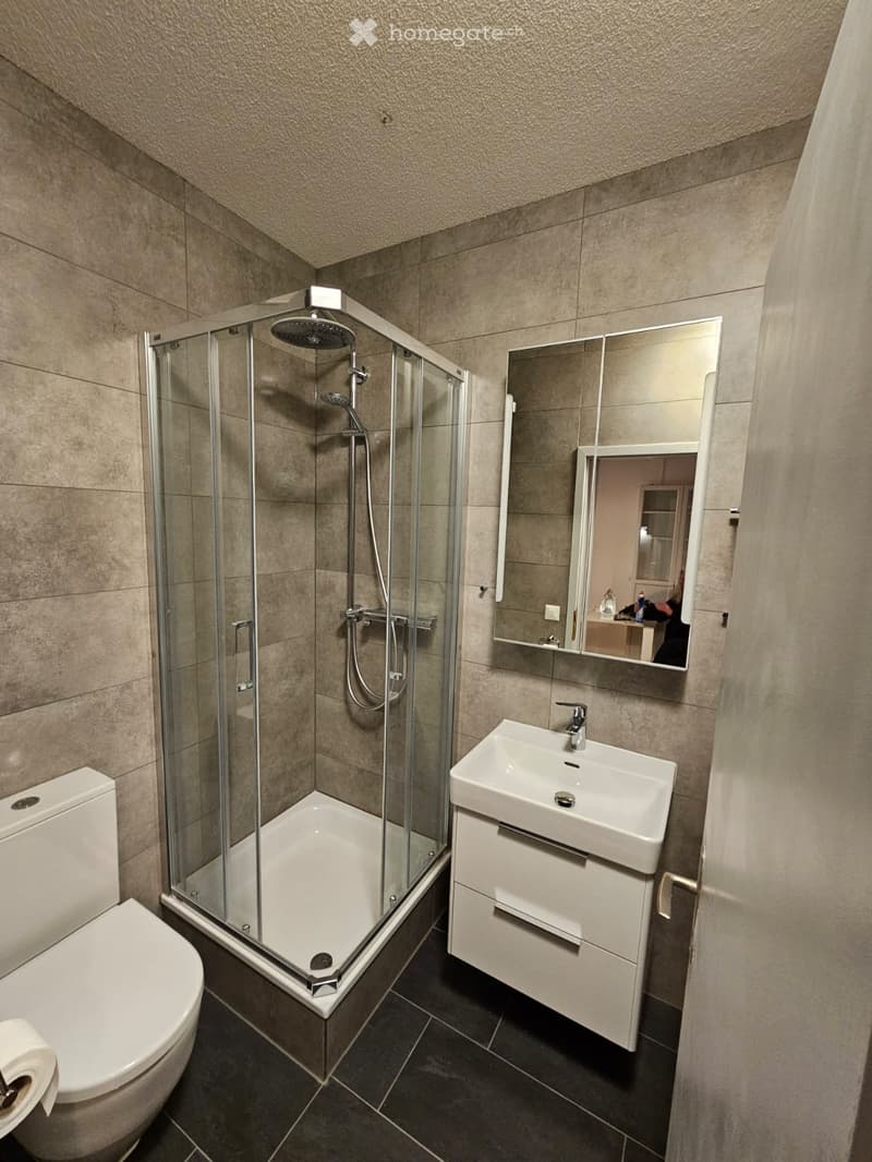 Modern bathroom with a glass-enclosed shower, toilet, sink with cabinet, and a large mirror above the sink.