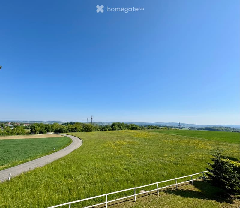 {"visible_features": ["View"],    "type": "Garden",    "description": "large green field, white fence, road, clear blue sky",    "localized_descriptions":        {        "EN": "Garden: large green field, white fence, road, clear blue sky",        "