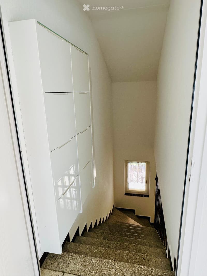 {"visible_features": [],    "type": "Staircase",    "description": "White walls, white cabinet, granite steps, small window",    "localized_descriptions":        {        "EN": "White walls, white cabinet, granite steps, small window",        "DE":
