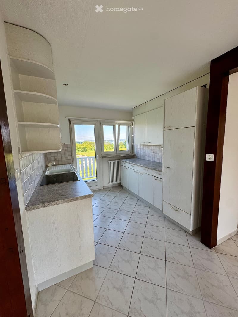 {"visible_features": ["Balcony / Terrace", "View"],    "type": "Room",    "description": "modern kitchen with white cabinets, granite countertops, double sink, balcony with railing, large windows",    "localized_descriptions":        {        "EN": "