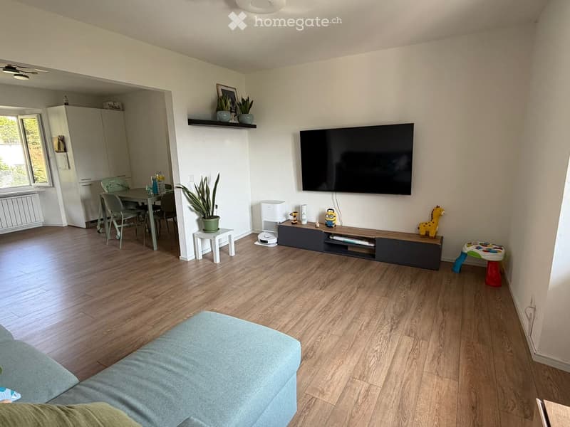 Living room with wooden flooring, a sofa, a television, a dining table with chairs, a shelf with plants, and a small stool.