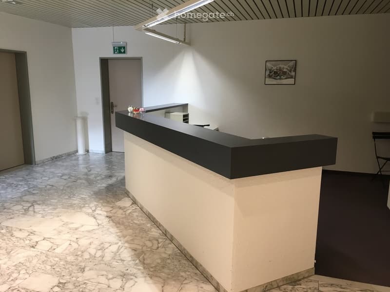 Lobby area with a reception desk, marble flooring, white walls, and a framed picture on the wall.