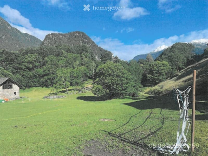 A lush green meadow surrounded by dense forest and towering mountains under a clear blue sky. A small stone house is visible on the left side of the meadow.