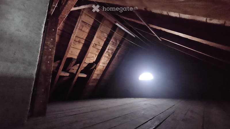 Empty attic space with wooden beams and exposed rafters, natural light coming through a small skylight.