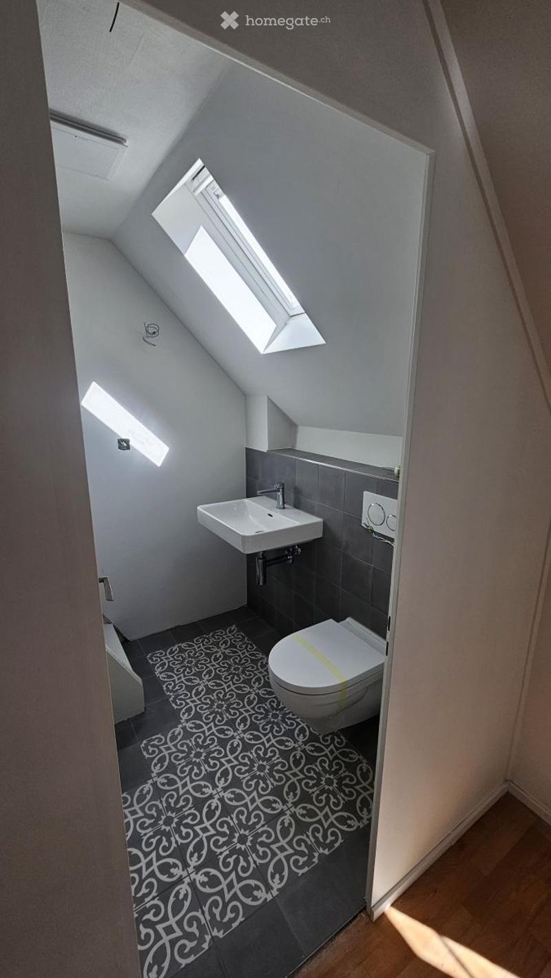 Modern, compact bathroom with a white sink, toilet, and a decorative black and white patterned rug. Features a skylight window for natural light and grey tiled walls.