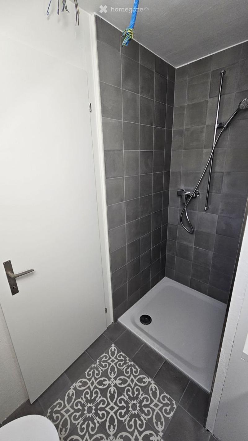 Modern bathroom with grey tiled walls and floor, a walk-in shower, a white door, and a decorative black and white tile design on the floor.
