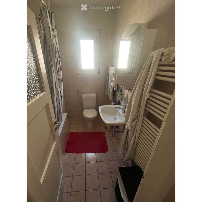 A small bathroom with a toilet, sink, towel rack, and a window letting in natural light. The floor is tiled, and there is a red bath mat in front of the toilet.