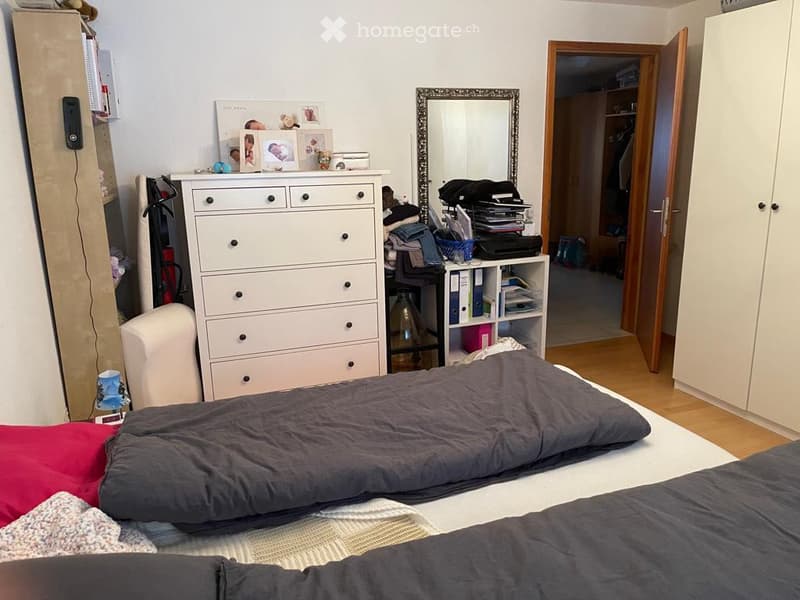 3,5 Zimmer Wohnung (7)