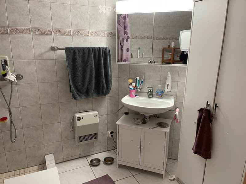 3,5 Zimmer Wohnung (10)
