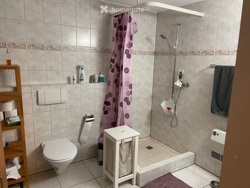 3,5 Zimmer Wohnung (11)