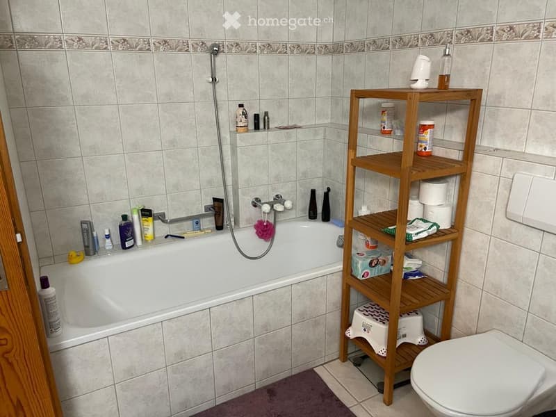 3,5 Zimmer Wohnung (12)