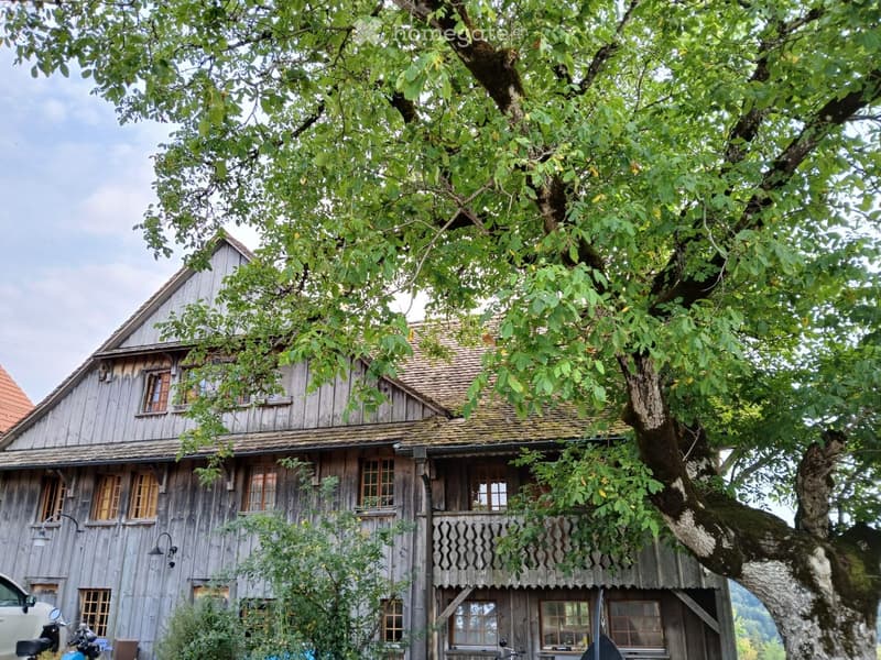 A rustic wooden house with a steep, tiled roof and multiple windows, partially shaded by a large tree.