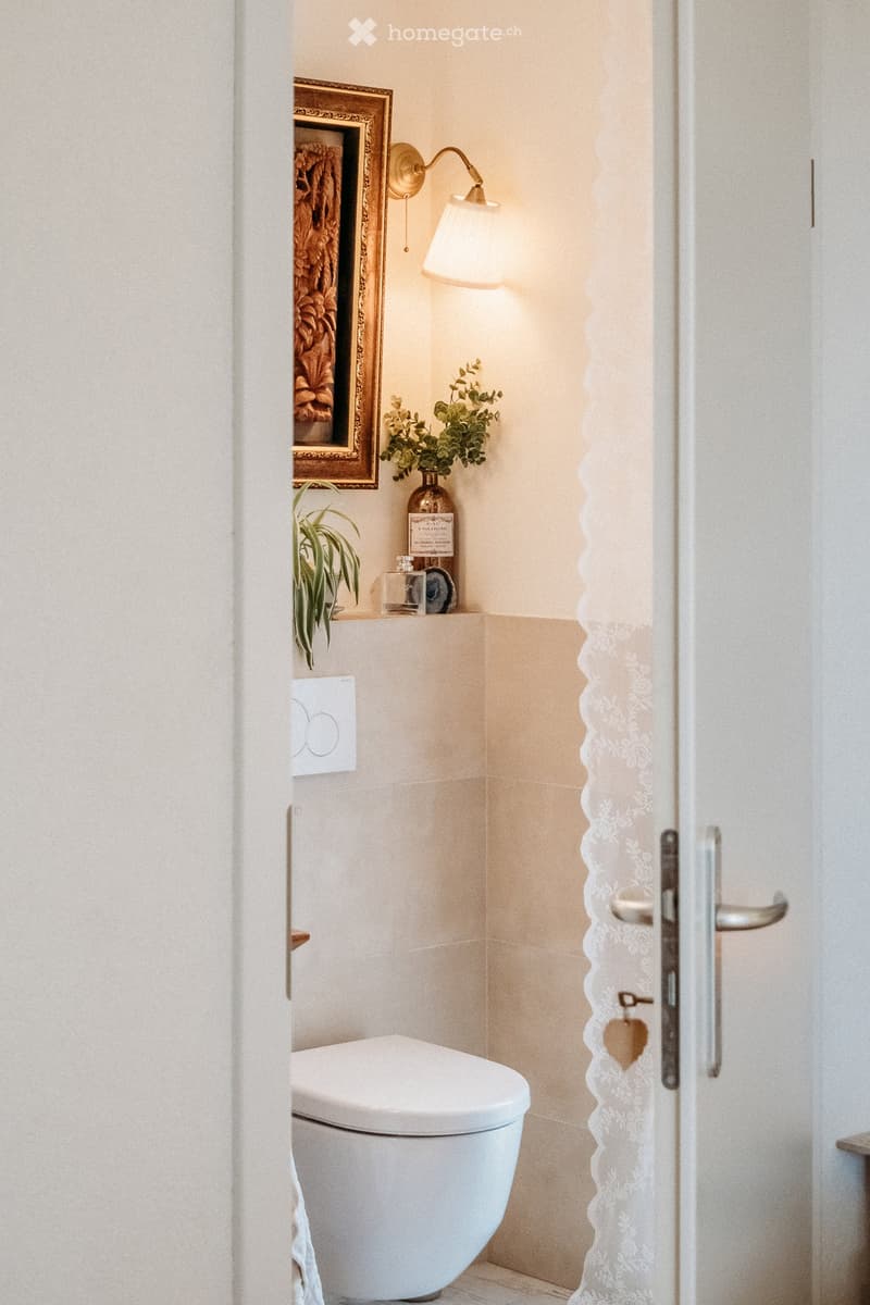 Modern bathroom with a toilet, wall-mounted lamp, framed picture, small plant, and decorative items on a shelf.