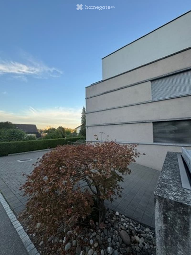 Modern building with a small landscaped garden area featuring a pruned tree, rocks, and a paved walkway.