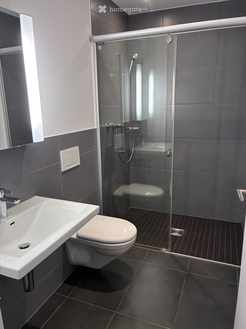 Modern bathroom with dark grey tiles, white sink, toilet, and glass-enclosed shower with a handheld showerhead.