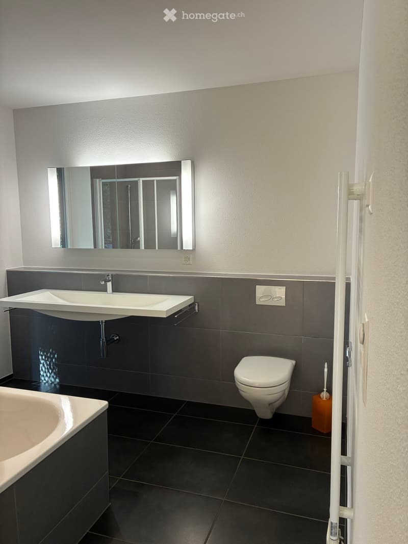 Modern bathroom with dark tiles, white sink, mirror, toilet, and toothbrush holder.
