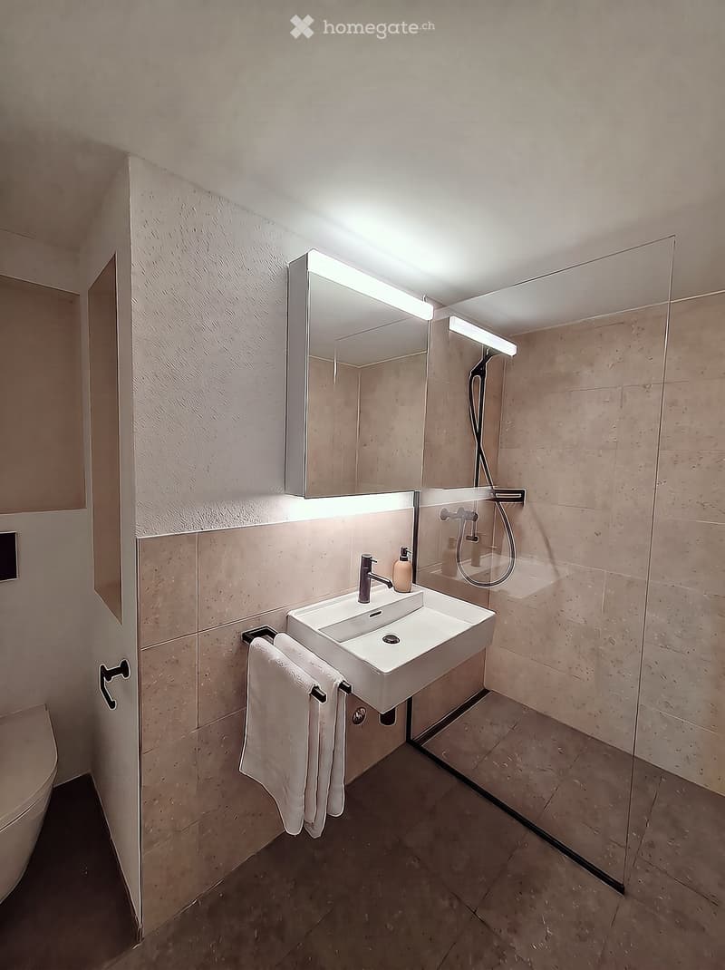 Modern bathroom with a white sink, mirror with built-in lighting, glass shower enclosure, and neatly folded towels.