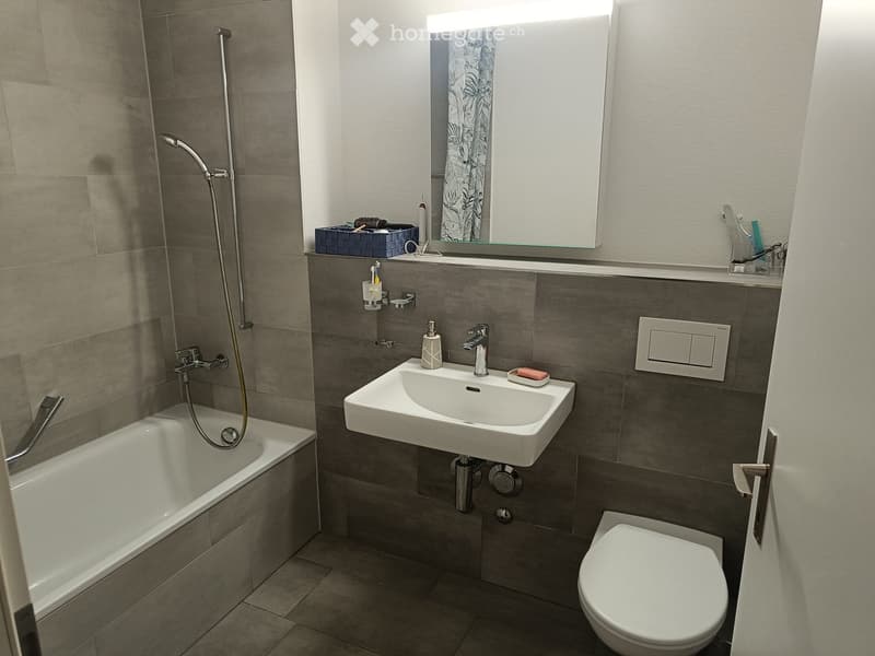 Modern bathroom with a bathtub, sink, toilet, and mirror. Features a showerhead, soap dispenser, toothbrush holder, and a light switch on the wall.