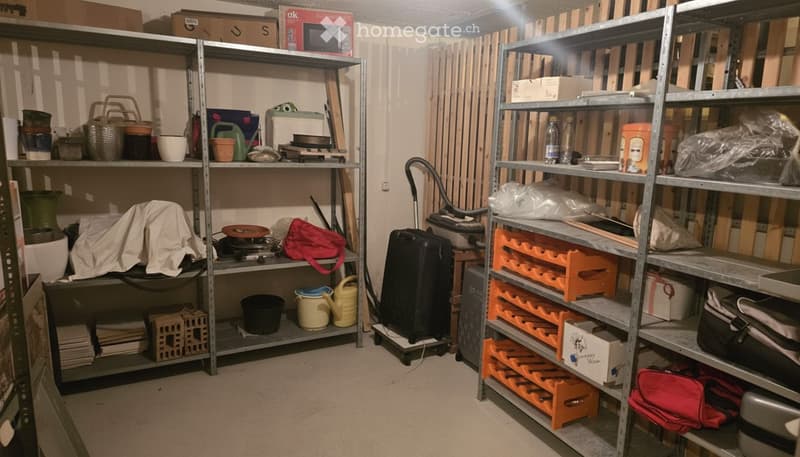 Storage area with metal shelving units filled with various items including garden tools, suitcases, boxes, and miscellaneous household items.