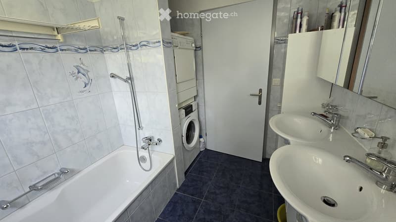 Bathroom with a bathtub, two sinks, a washing machine, and a mirror. The walls are tiled with a decorative blue and white pattern.