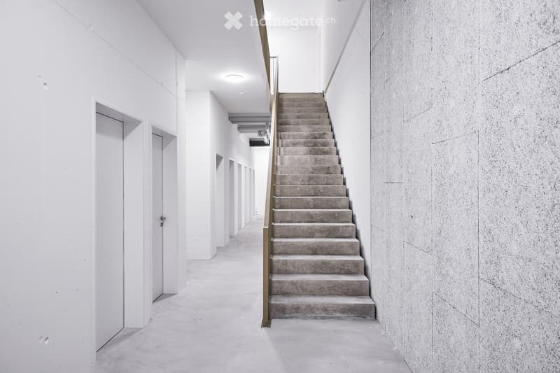 Minimalist hallway with white walls, concrete floor, and a staircase leading upwards, featuring a sleek metal railing and recessed lighting.
