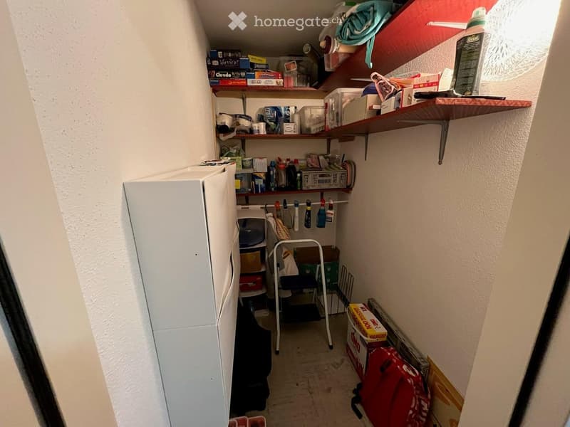 A narrow hallway with shelves on both sides, containing various household items such as cleaning supplies, boxes, and a refrigerator on the left side.