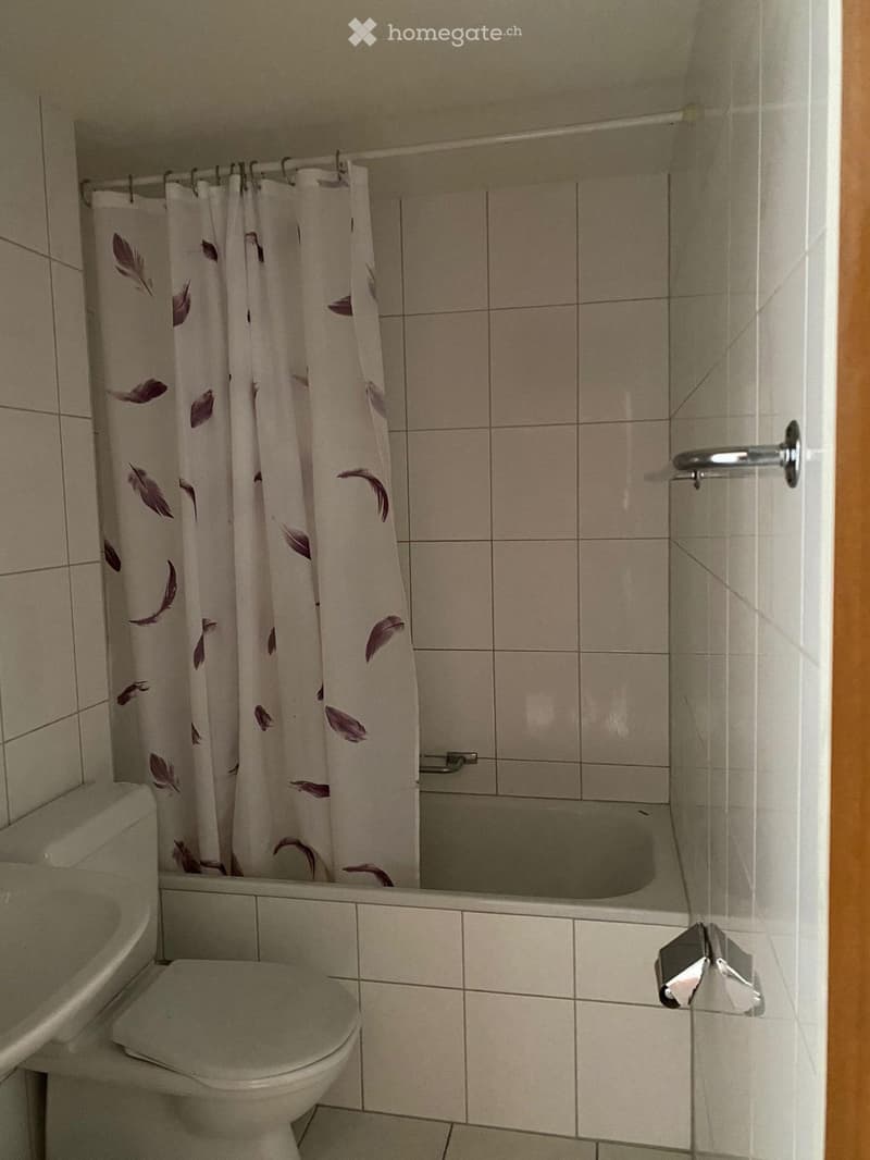 Bathroom with a toilet, bathtub, and a shower curtain with a feather design.