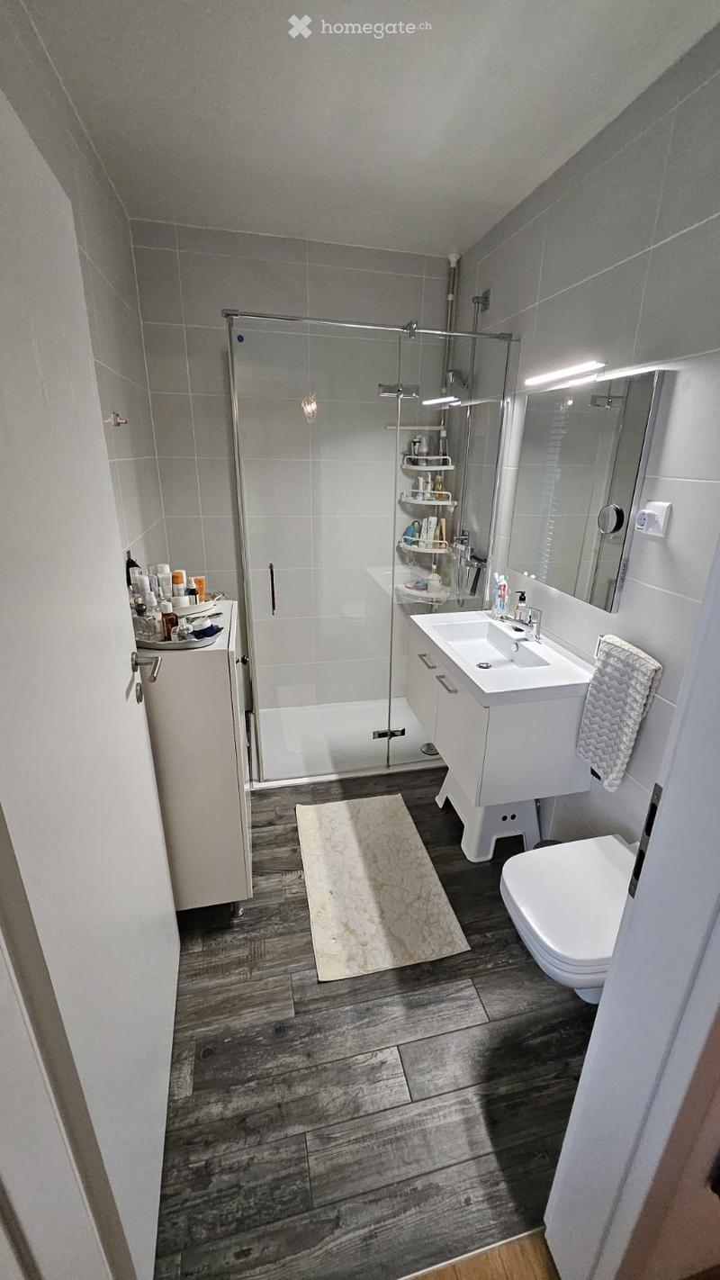 Modern bathroom with wooden flooring, white tiles, a glass-enclosed shower, a sink with a mirror, a toilet, and a small cabinet with shelves.