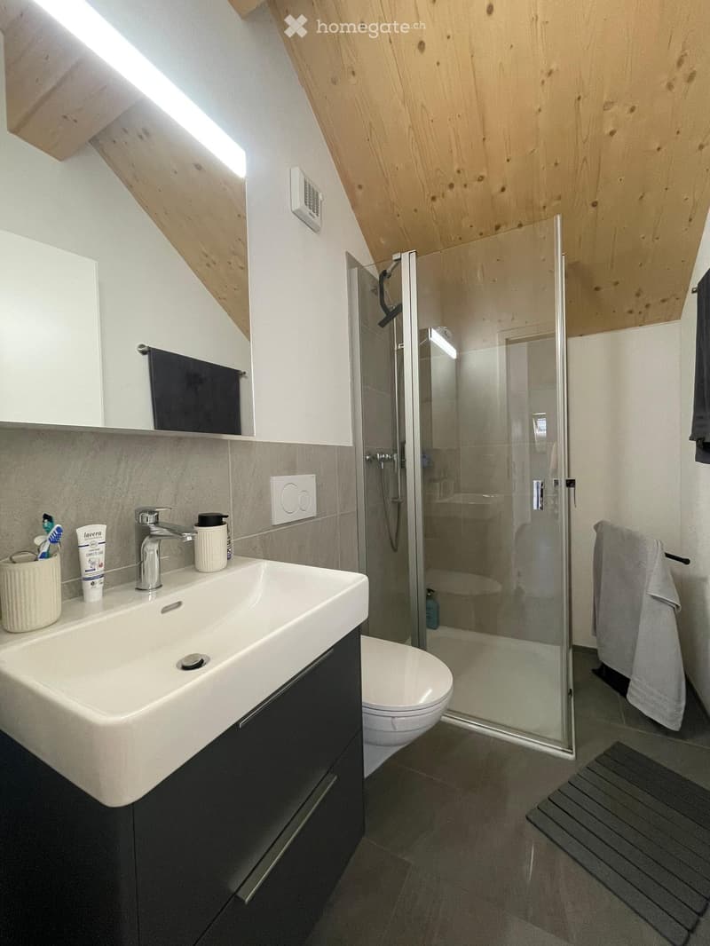 Modern bathroom with a white sink, chrome faucet, toothbrush holder, and a glass-enclosed shower. The room features wooden slanted ceilings and grey tiled walls.