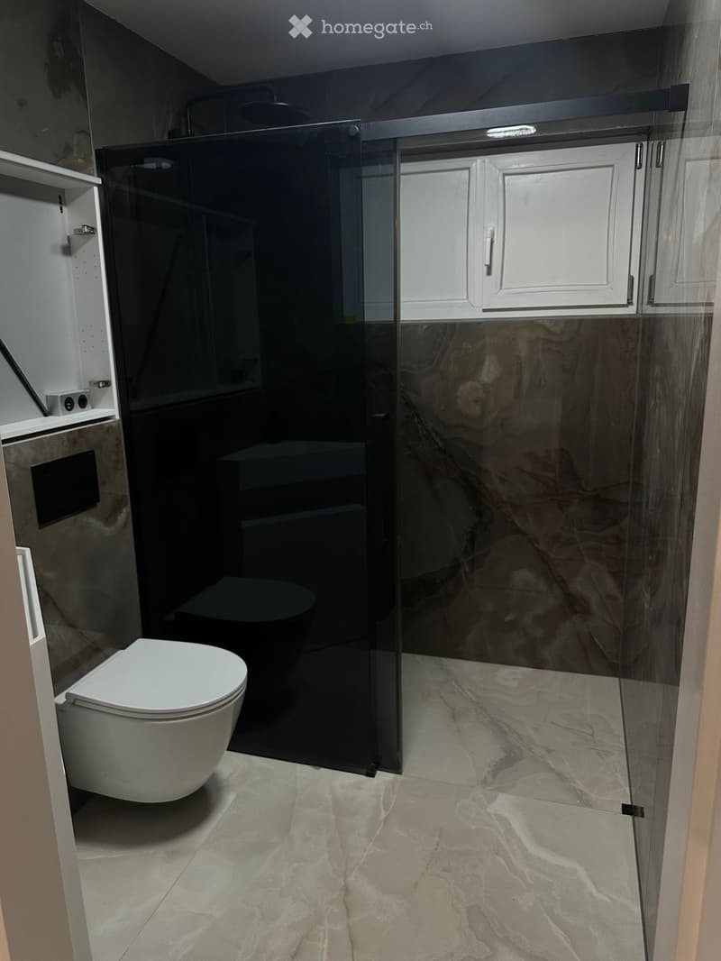 Modern bathroom with a white toilet, glass shower enclosure, and built-in cabinet. Marble-style flooring and walls.