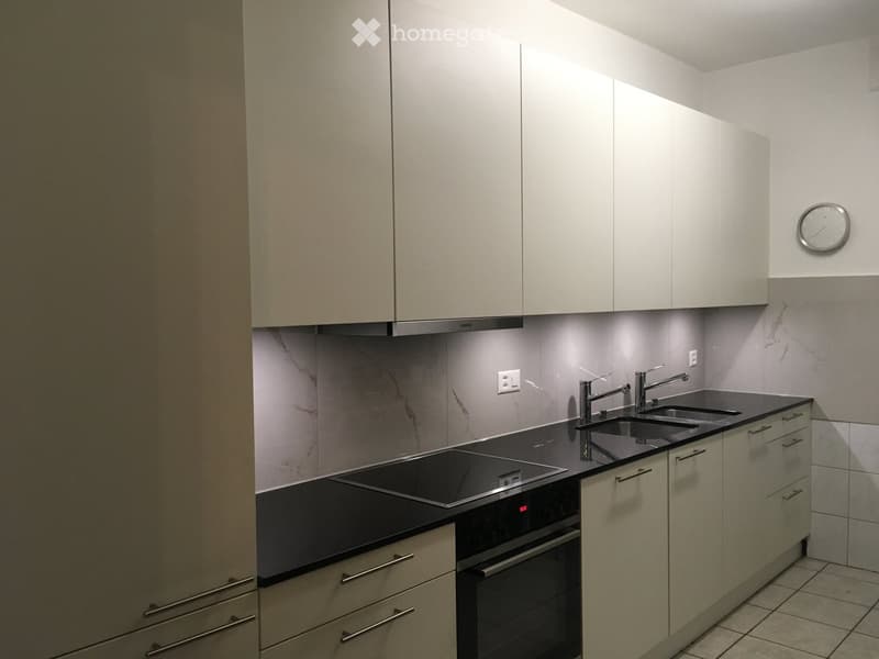 modern white kitchen, black countertops, integrated oven, double sink, modern appliances