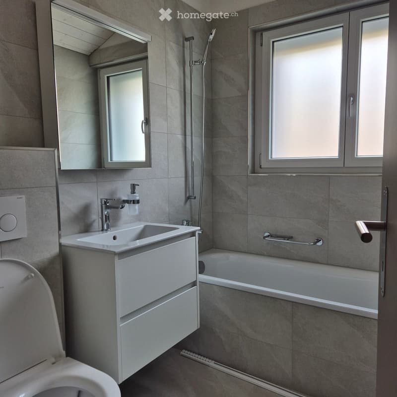 Modern bathroom with grey tiles, a white sink with a chrome faucet, a toilet, a bathtub, a mirror, and a handrail near the bathtub.