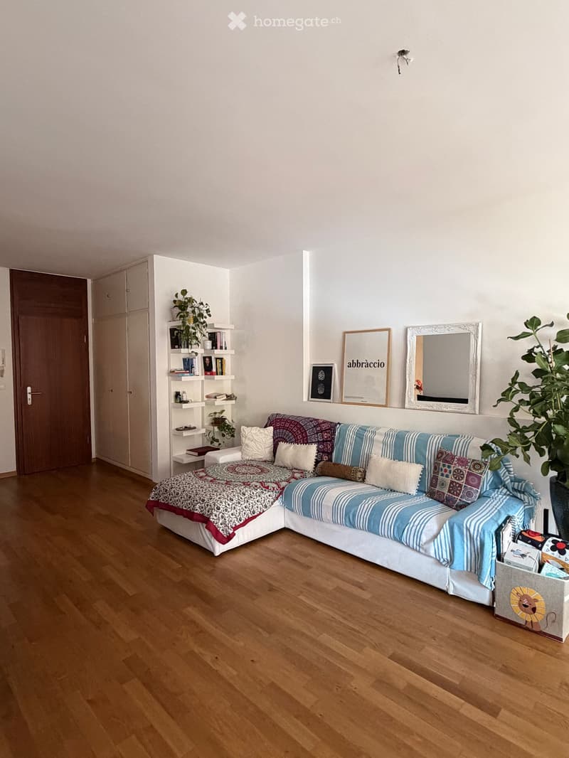 A modern living room with a corner sofa, colorful pillows, a bookshelf, a large mirror, and a potted plant. The room features wooden flooring and white walls.