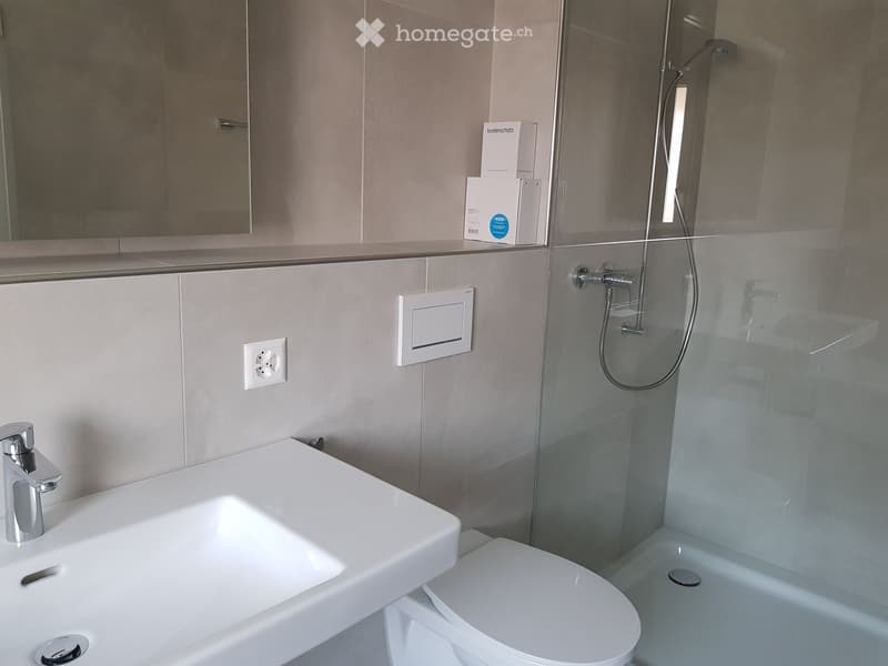 Modern bathroom with a white sink, chrome faucet, toilet, glass-enclosed shower, and a large mirror above the sink.