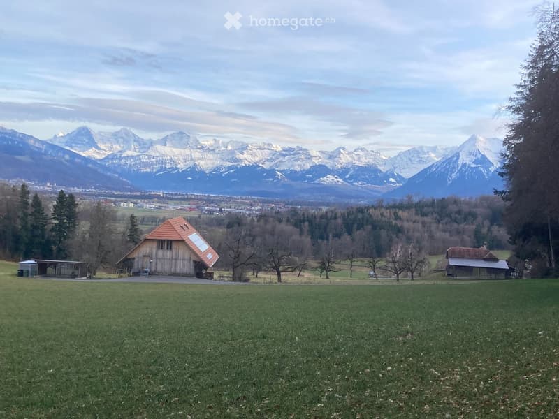 A rural landscape with a wooden barn, grassy field, trees, and distant snow-capped mountains.