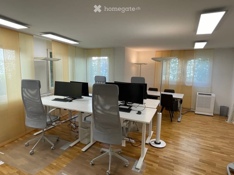 Modern office space with wooden flooring, multiple desks, ergonomic chairs, computers, keyboards, and mice. Large windows with sheer curtains and floor lamps provide natural and artificial lighting.