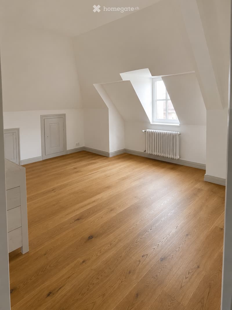 Empty attic room with wooden flooring, white walls, and a skylight window. Features a radiator and a door.