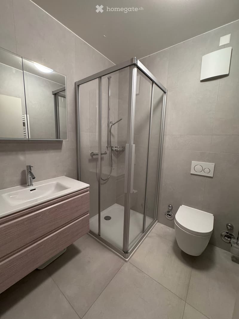 Spacious 6.5-Room Ground Floor Apartment with Private Garden and Terrace (11)
