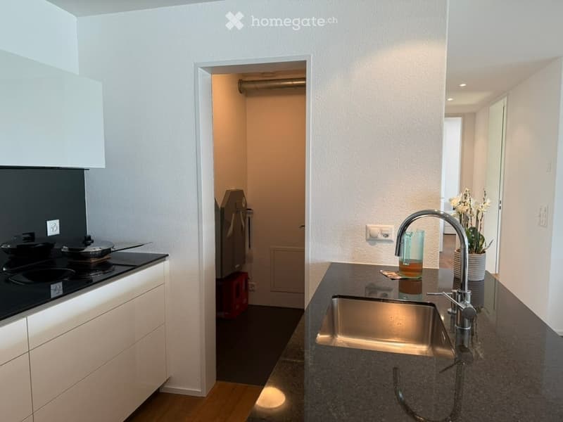Modern kitchen with white cabinets, black countertop, stainless steel sink, and a small flower pot on the counter.