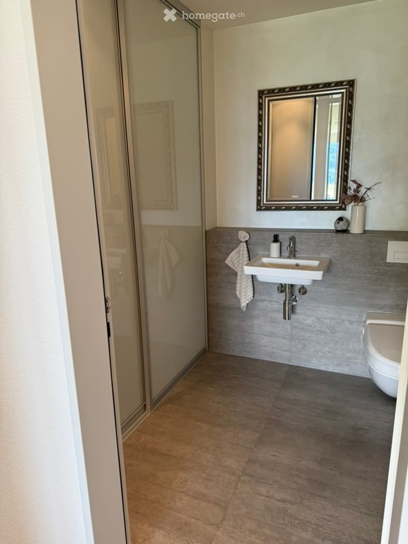 Modern bathroom with a white sink, mirror, toilet, and towel. Features a glass shower enclosure and a decorative plant on the counter.
