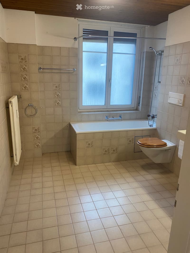 Grosszügige Altbau Wohnung im Neubad, nähe Neuweilerplatz 55 m2 (5)