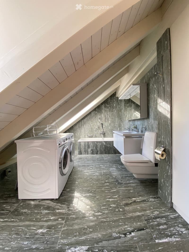 Modern bathroom with dark marble tiles, skylight, washing machine, bathtub, sink, toilet, and mirror.