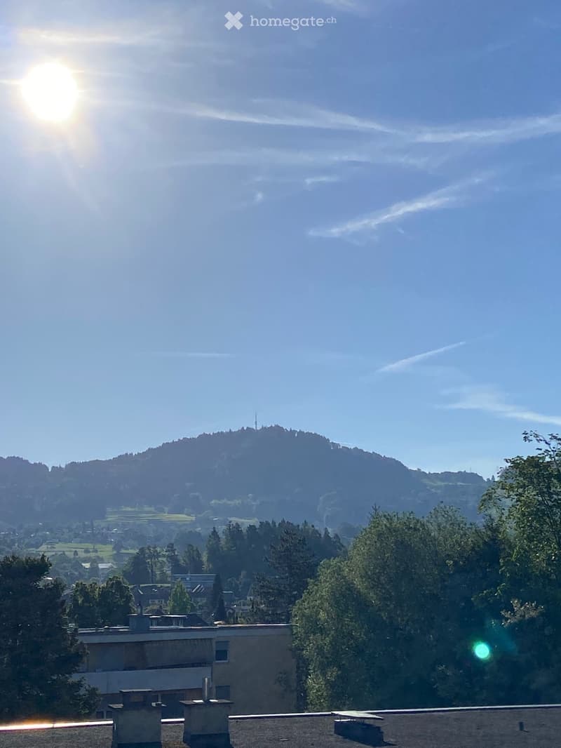 View from a rooftop terrace showing a cityscape with trees, buildings, and a distant hill under a clear blue sky with the sun shining brightly.