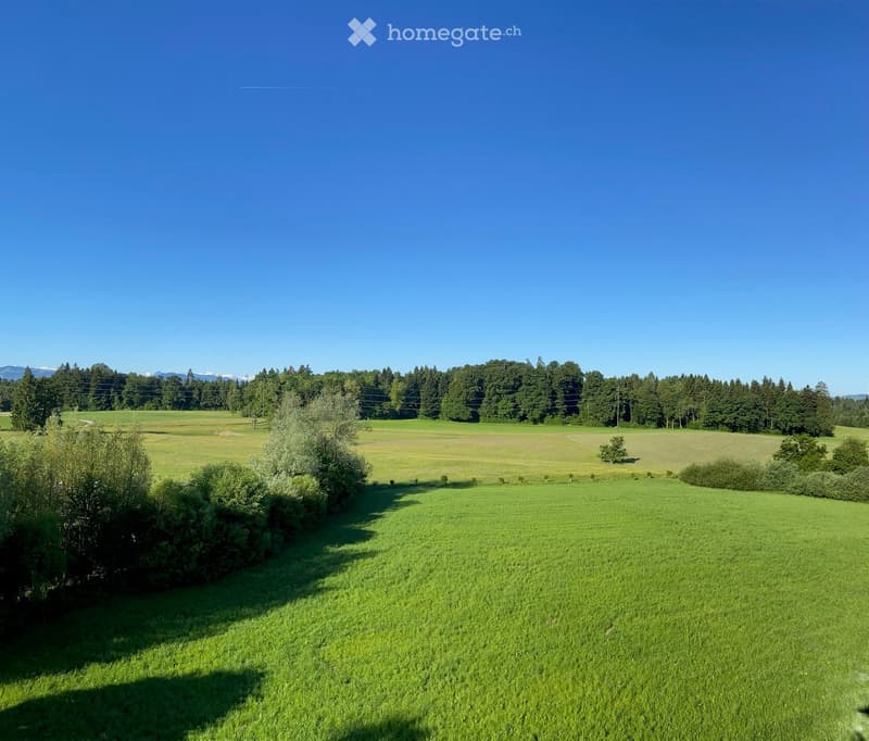 Open green field with scattered trees and distant mountains under a clear blue sky.