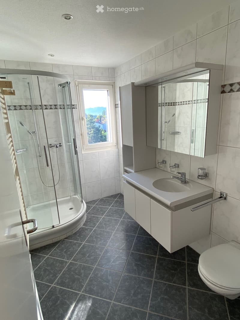 Modern bathroom with dark tiled floor, white sink with mirror cabinet, glass-enclosed shower, and a window offering a scenic view.