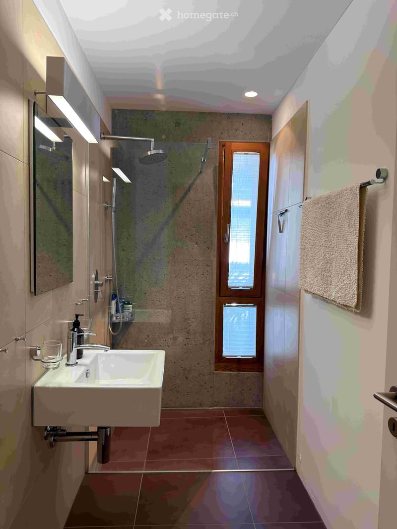 Modern bathroom with a sink, mirror, shower, and towel. Features a skylight ceiling and a window with blinds.